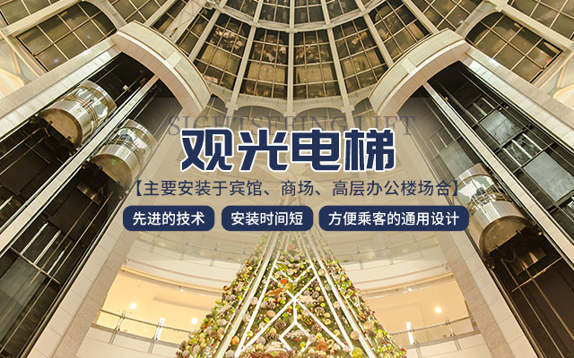湖南省杰标电梯有限公司_杰标电梯乘客电梯|杰标电梯电梯装潢